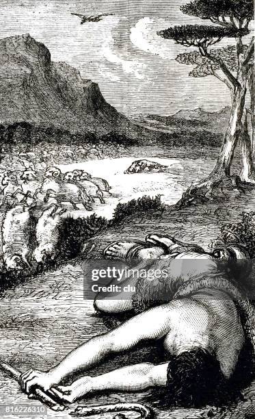 schäfer, schlafen auf dem boden, im hintergrund der herde - 1891 stock-grafiken, -clipart, -cartoons und -symbole