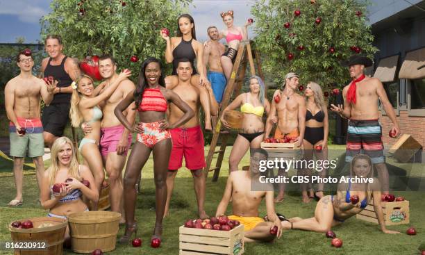 Season 19 of Big Brother. Top Row: L-R: Jessica Graf, Matthew Clines, Raven Walton. Middle Row: L-R: Cameron Heard, Kevin Schlehuber, Alex Ow, Mark...