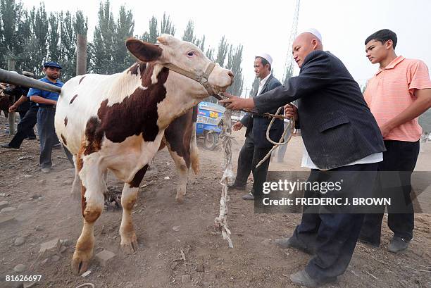 Cattle are brought for display and sale at the livestock market in Kashgar on June 15, 2008 in northwest China's Xinjiang Uighur Autonomus Region....