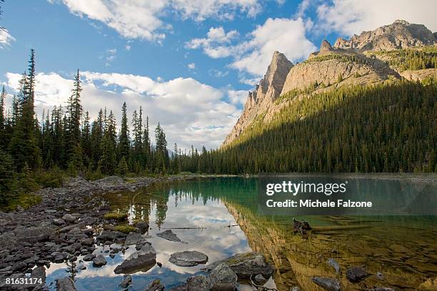 lake o'hara and wiwaxy peak, yoho national park, british columbia, canada - lago o'hara foto e immagini stock