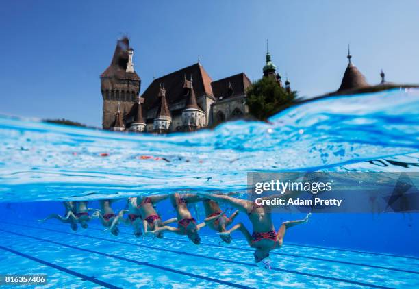 France practice in front of the Vajdahunyad Castle ahead of the Synchronised Swimming Team Technical, preliminary round on day three of the Budapest...