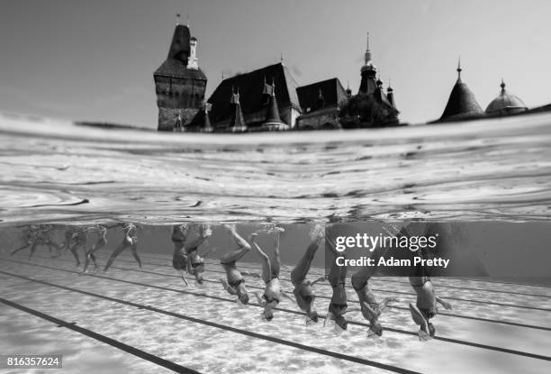 France practice in front of the Vajdahunyad Castle ahead of the Synchronised Swimming Team Technical, preliminary round on day three of the Budapest...