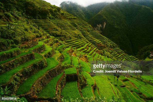 batad rice terraces (banaue, ifugao, philippines) - joemill flordelis stock pictures, royalty-free photos & images