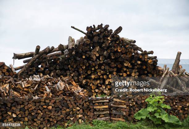 Hardwood logs lie stacked in a pile ready for cutting and splitting for firewood June 23, 2017 on land owned by Robert Marble in Charlotte, Vermont....
