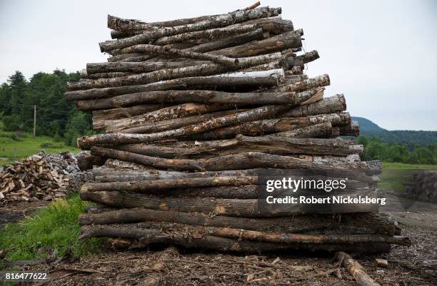 Cut hardwood logs lie stacked in a pile ready for cutting and splitting for firewood on land owned by Robert Marble June 29, 2017 in Charlotte,...