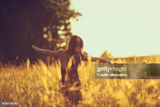 vrouwen in de avondlucht in een weide - summer feeling stockfoto's en -beelden