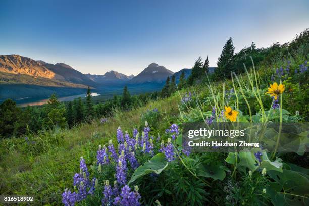 lago delle due medicine - glacier national park foto e immagini stock