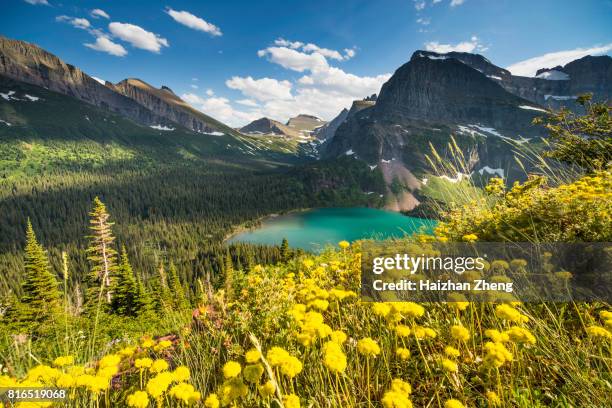 grinnell glacier trail - grinnell lake bildbanksfoton och bilder