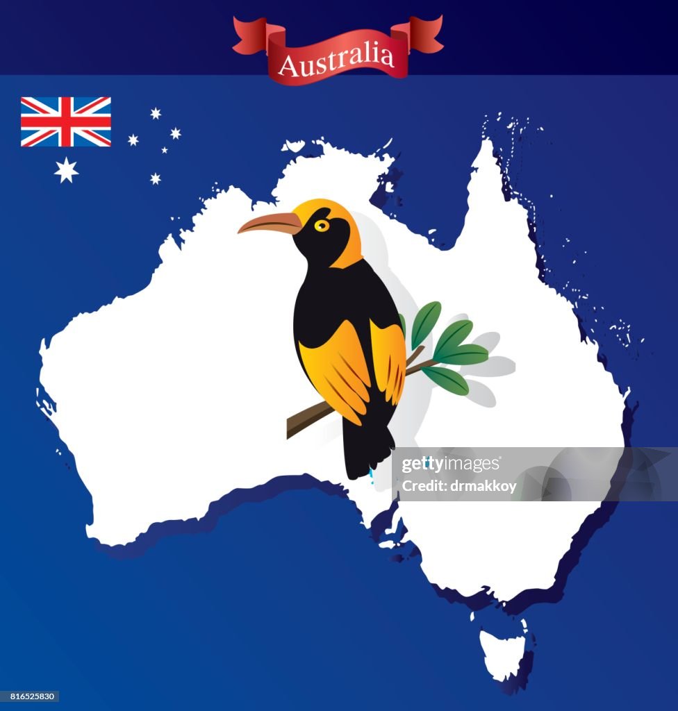 Australia and Regent Bowerbird