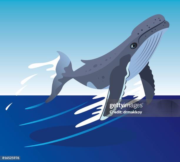 whale - humpback whale stock illustrations