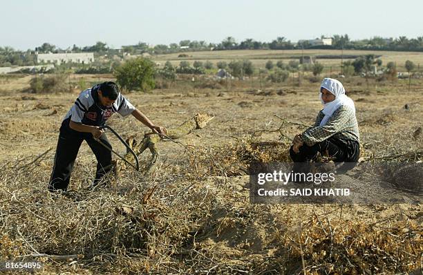 208 Al Qarara Stock Photos, High-Res Pictures, and Images - Getty Images 208 Al Qarara Stock Photos, High-Res Pictures, and Images - Getty Images