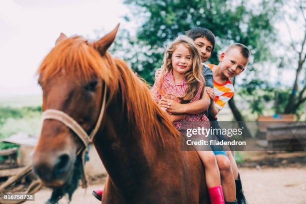 kinder reiten - kids farm stock-fotos und bilder