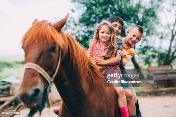 bambini a cavallo - montare un animale montare foto e immagini stock