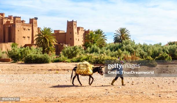 Moroccan Man Walking with Mule past Ait Benhaddou