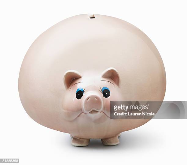 obese piggy bank - piggy bank stock-fotos und bilder