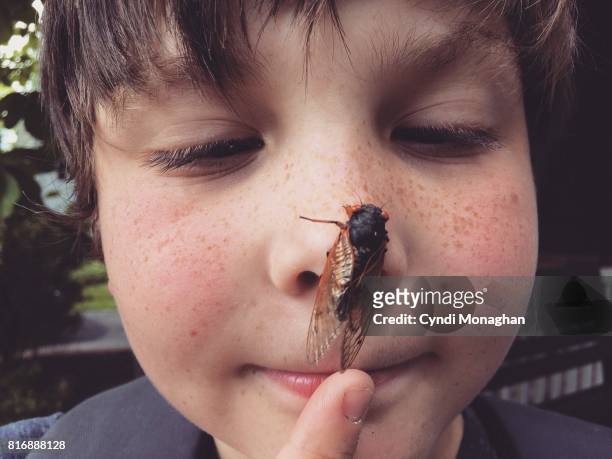 cicada invasion - scheel kijken stockfoto's en -beelden