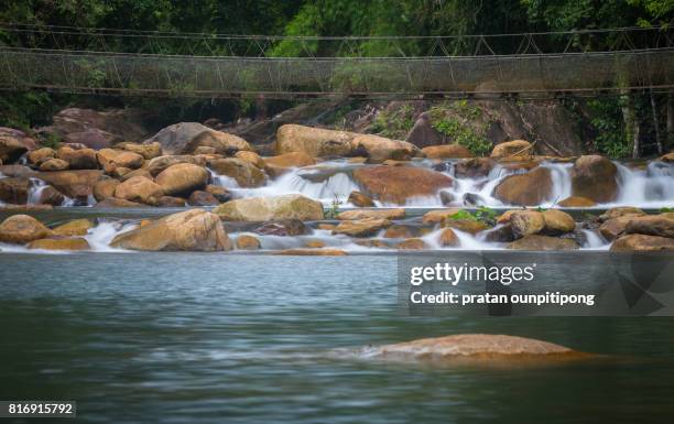Bridge Rope Over Water 141 Rope Bridge Over River Stock Photos, High-Res Pictures, and Images ...