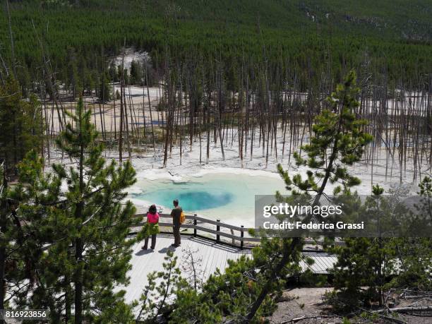 Spring Cistern 564 Cistern Spring Stock Photos, High-Res Pictures, and Images - Getty ...