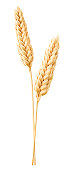 Isolated wheat
