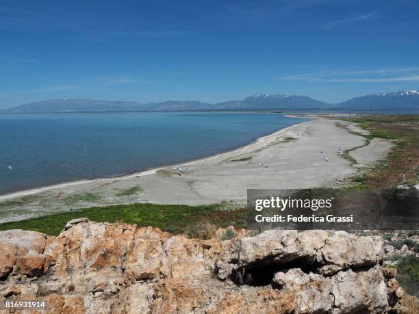 farmington bay, antelope island, great salt lake, utah - ilha de antelope imagens e fotografias de stock