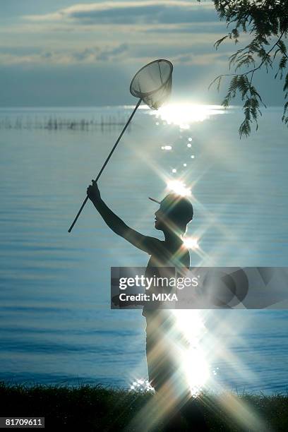 silhouette of young man holding butterfly net - omi stock pictures, royalty-free photos & images