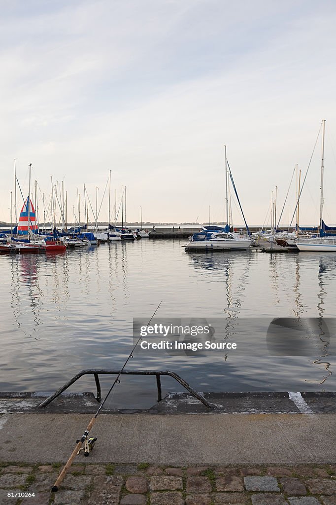 Fishing in harbour