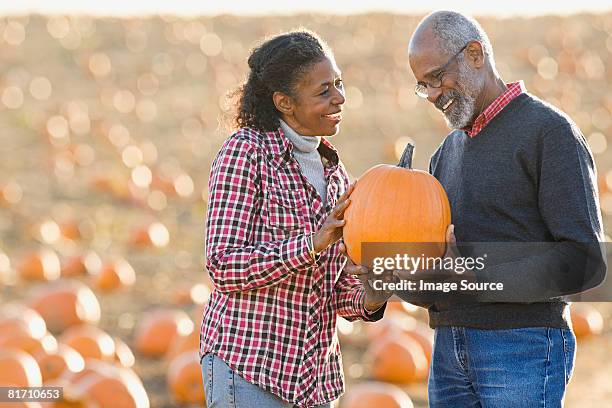 a senior couple holding a pumpkin - pompoenenveld stockfoto's en -beelden