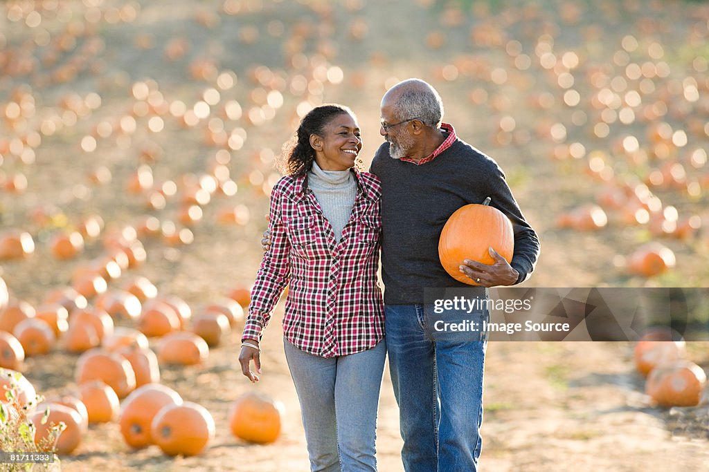 Um casal idoso a andar num campo de abóboras