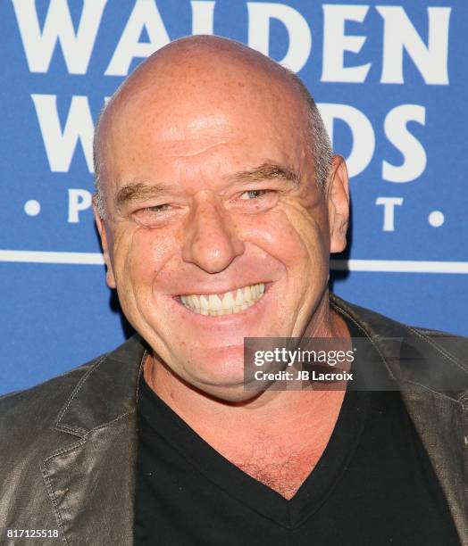 Dean Norris attends Oceana and The Walden Woods Project present: Rock Under The Stars With Don Henley and Friends event on July 17, 2017 in Los...