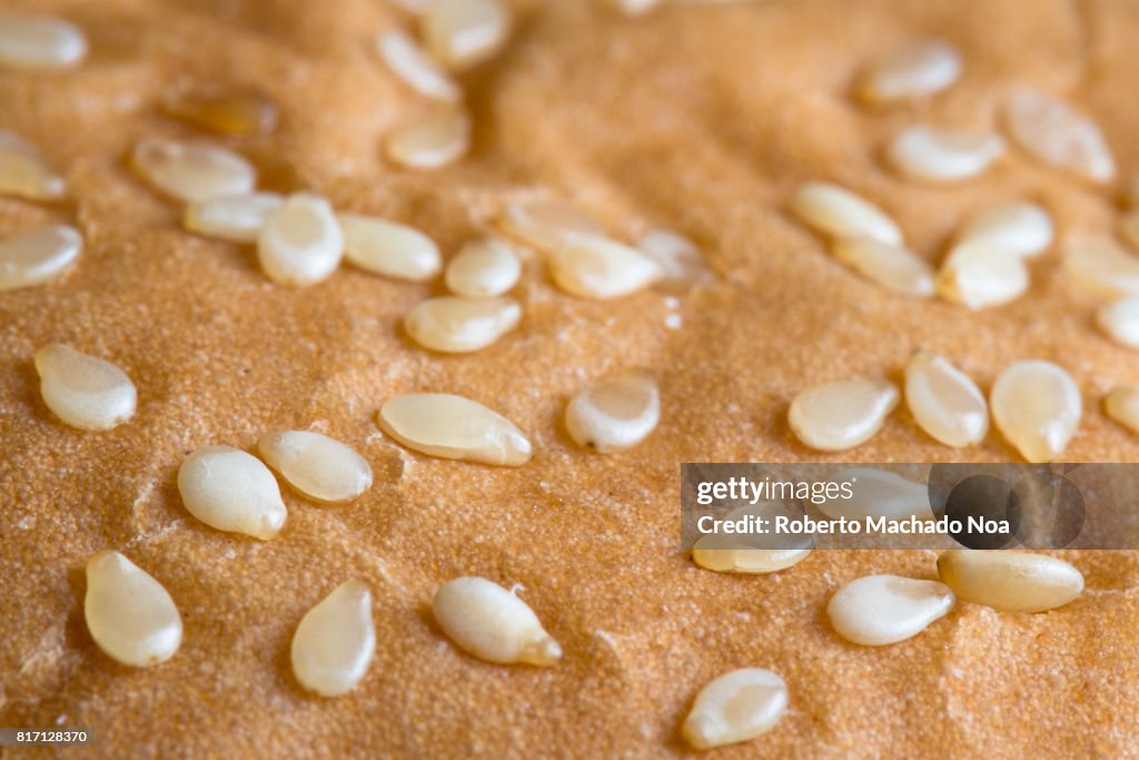 Sesame seeds white bread bun roll, close up or macro. Bakery fresh food products made with wheat flour