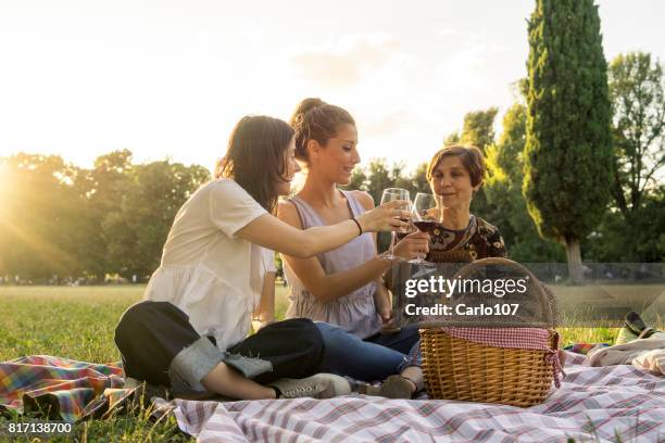 mother and daughters drinking wine in a park during a picnic - twilight picnic stock pictures, royalty-free photos & images