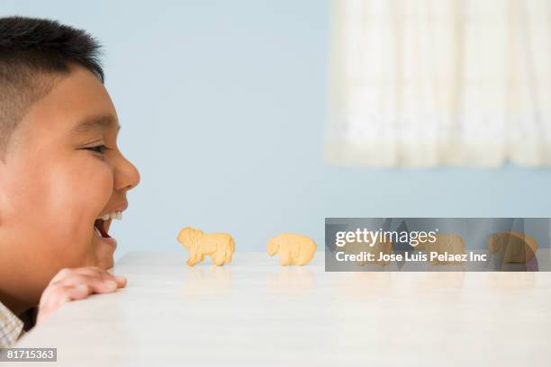 animal crackers lined up in front of hispanic boy's mouth - child marching stock pictures, royalty-free photos & images