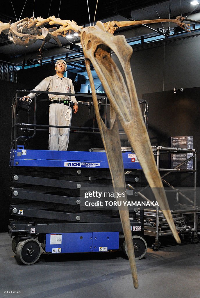 A worker checks a replica of a skeleton