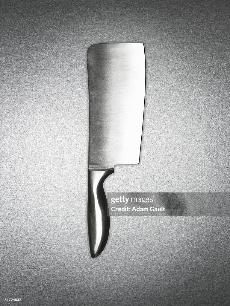 A silver cleaver