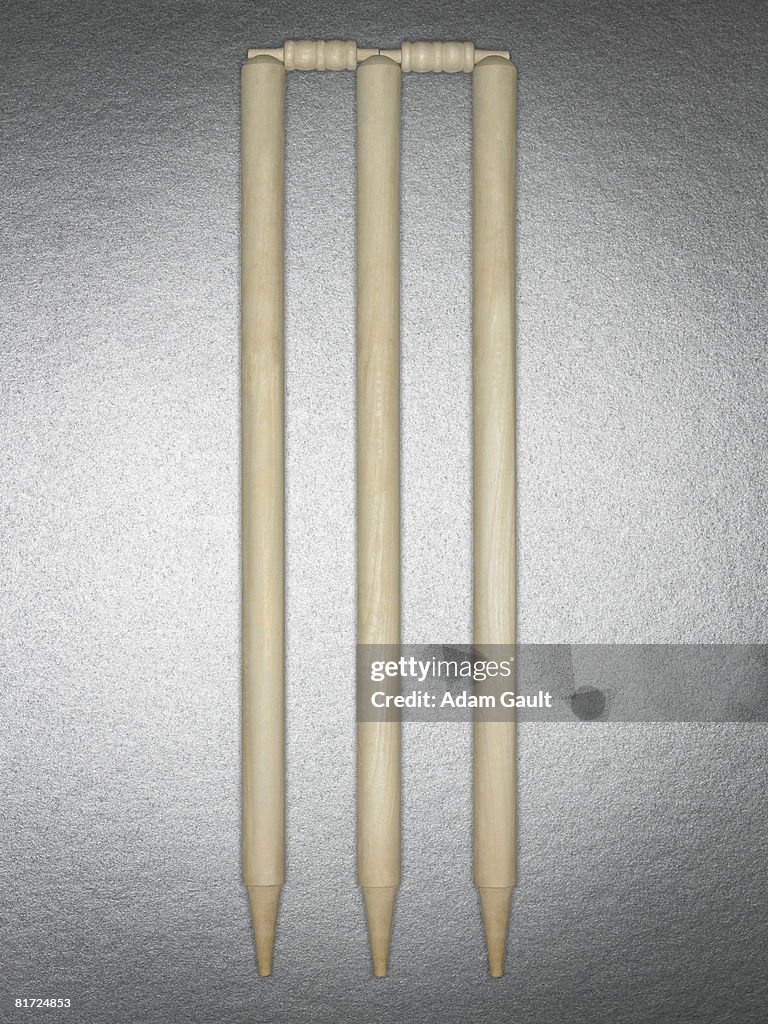 A cricket wicket