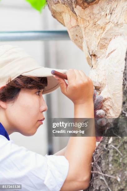 foto ravvicinata dello scultore - a testa alta foto e immagini stock