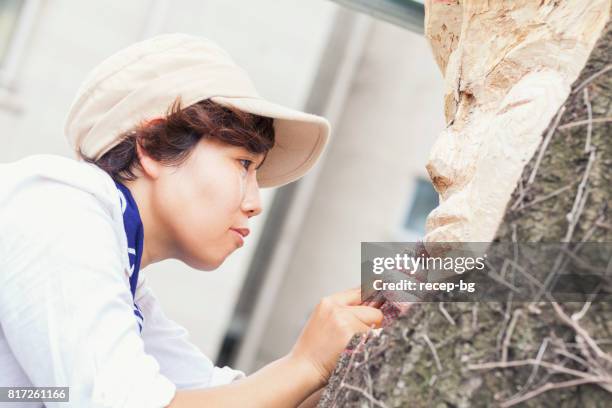 close-up photo of sculptor - facing things head on stock pictures, royalty-free photos & images