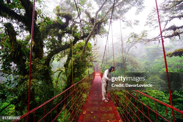 ältere mann auf der suche von hängebrücke in monteverde nebelwald, costa rica - monteverde stock-fotos und bilder