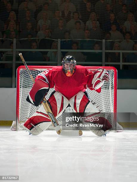 ice hockey goalkeeper - difensore hockey su ghiaccio foto e immagini stock