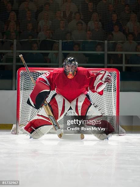 ice hockey goalkeeper - hockey player on ice stock pictures, royalty-free photos & images