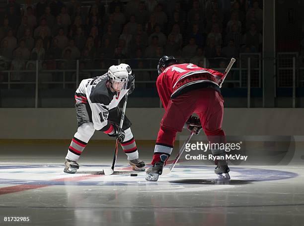 ice hockey players facing off - ice hockey stock pictures, royalty-free photos & images