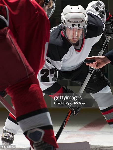 ice hockey players facing off - difensore hockey su ghiaccio foto e immagini stock