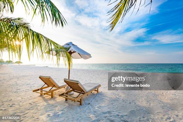 amazing beach sunset. beach scene with relaxing mood. - ligstoel stockfoto's en -beelden