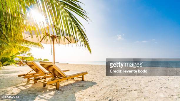 amazing beach sunset. beach scene with relaxing mood. - beach holiday stock-fotos und bilder