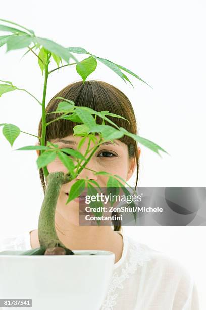 woman looking through leaves of potted plant, smiling at camera - ceiba speciosa stock pictures, royalty-free photos & images