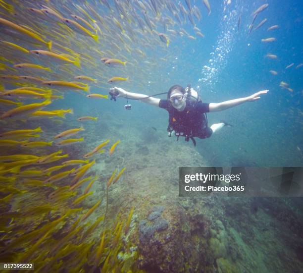 happy woman diver in shoal of bigeye snapper (lujanus lutjanus) fish - bigeye fish stock pictures, royalty-free photos & images