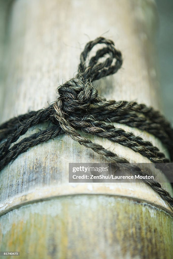 String tied in knot around bamboo, close-up