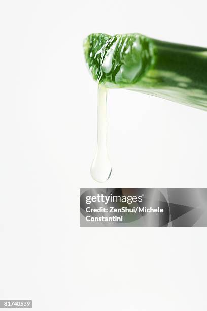 dripping aloe vera leaf, close-up - aloe slices stock pictures, royalty-free photos & images