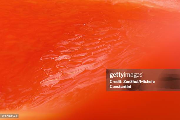 red bell pepper flesh, extreme close-up - fruit flesh stock pictures, royalty-free photos & images