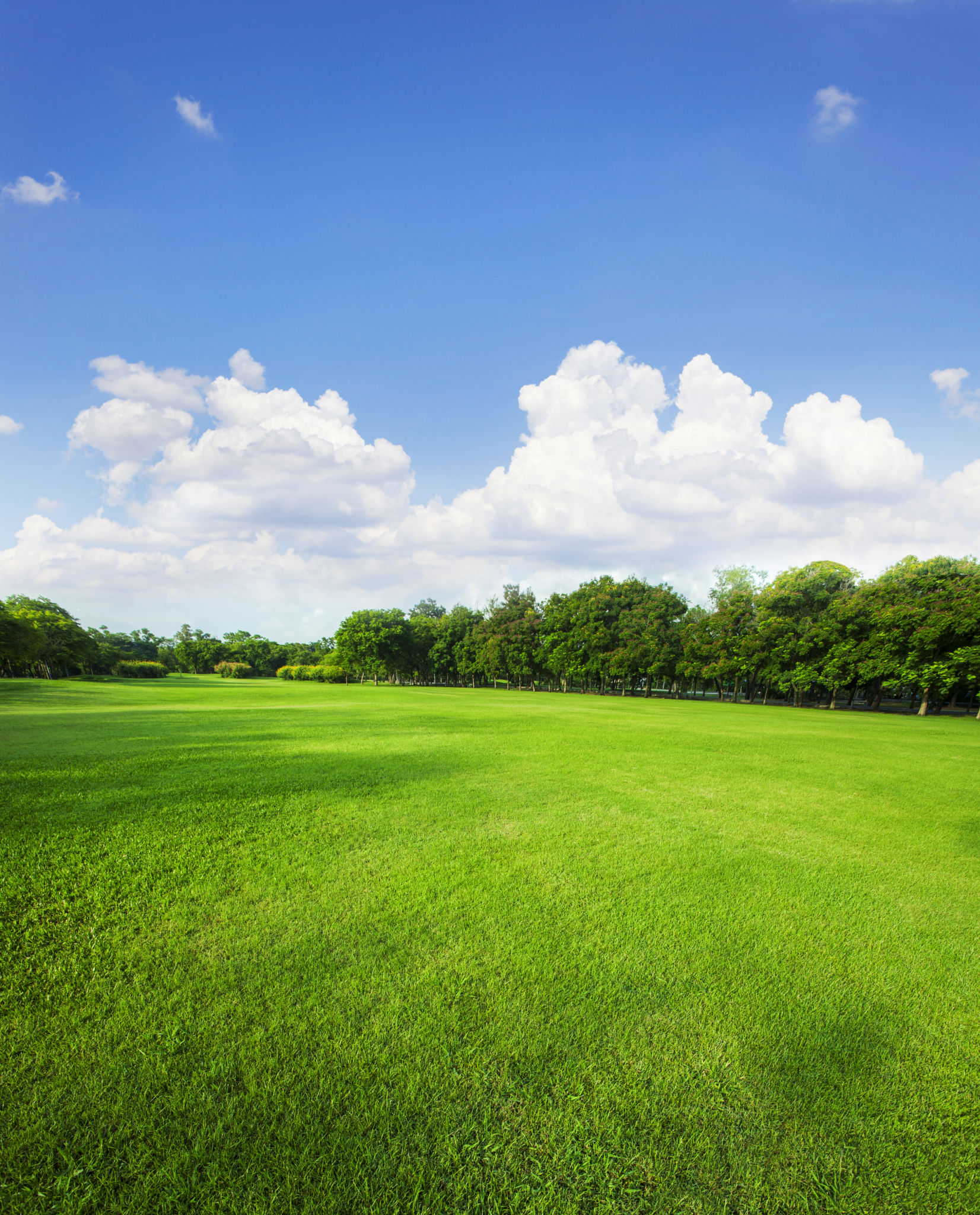 green park